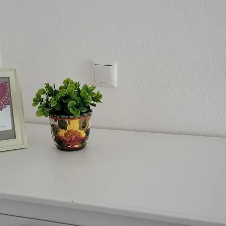 S Terasou Apartmán *